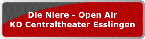 Die Niere - Open Air